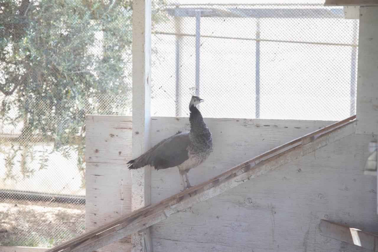 La Lantana Villa Marina di Ragusa Luaran gambar