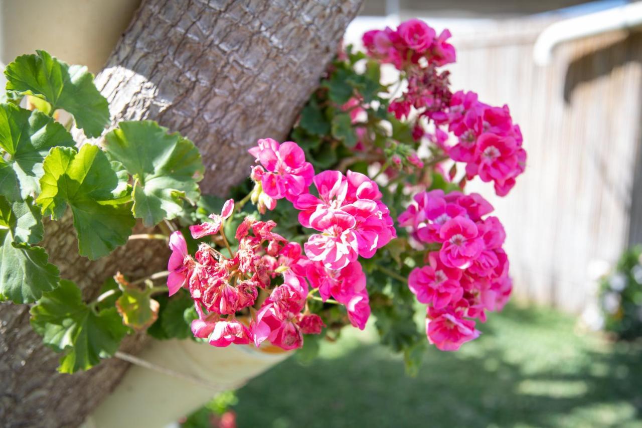 La Lantana Villa Marina di Ragusa Luaran gambar